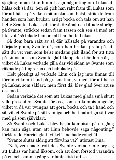 sjögång innan Linn hunnit säga någonting om Lukas att hälsa och så där. Sen så gick han rakt fram till Lukas som för att hälsa på vilken människa som helst, sträckte fram handen som han brukar, artigt bocka och tala om att han hette Svante. Lukas satt först förvånat och tittade storögt på Svante, sträckte sedan fram tassen och sen så med ett lite ’voff’ så talade han om att han hette Lukas. Så dom bara rakt av så där hälsade på varandra och började prata, Svante då, som han brukar prata på sitt sätt du vet vem som helst medans gick iland för att titta på Linns hus som Svante glatt klappade i händerna åt, … vilket då Lukas verkade gilla där vid sidan av Svante som räknade på fingrarna och babblade på. Helt plötsligt så verkade Linn och jag inte finnas till förrän vi kom i land på gräsmattan, vi med, för att hälsa på Lukas, som såklart, men först då, blev glad över att se oss med. Sedan verkade det som att Lukas med glada små skutt ville presentera Svante för oss, som en kompis ungefär, vilket vi då var tvungna att göra, bocka och ta i hand och så, vilket Svante på sitt vanliga och helt naturliga sätt var med på som självklart. Så Svante och Lukas blev bästa kompisar på en gång kan man säga utan att Linn behövde säga någonting.” förklarade Harriet glatt, vilket Tina hade roligt åt. ”Svante slutar aldrig att förvåna va?” utbrast Tina. ”Nää, vem hade trott det. Svante verkade inte bry sig att Lukas var hund liksom, och att dom förstod varandra på en och samma gång var fantastiskt att se.